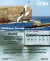 HC8N