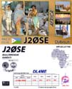 J20SE